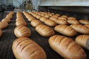 Сетка подовая транспортерная для хлебопечей.