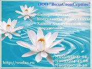 Биопрепарат Бакти Био для удаления запаха,  органики,  жиров,  масел,  для