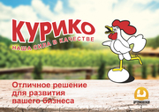 Франшиза магазина КУРИКО