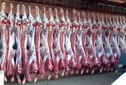 Говядина полутуши охлажденная. От 1000 кг. Напрямую с бойни г. Екатеринбург