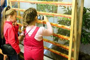 Высоко доходный  бизнес ферма Живых Восхитительных Бабочек  из Тайланда