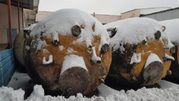 Акратофор нержавеющий,  объем -10 куб.м.,  вертикальный,  рубашка