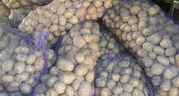 Картофель калиброванный в сетке оптом от производителя