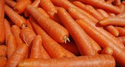 Морковь оптом. Нижний Новгород