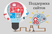 Техническая и информационная поддержка сайтов от ООО АСТОНИА